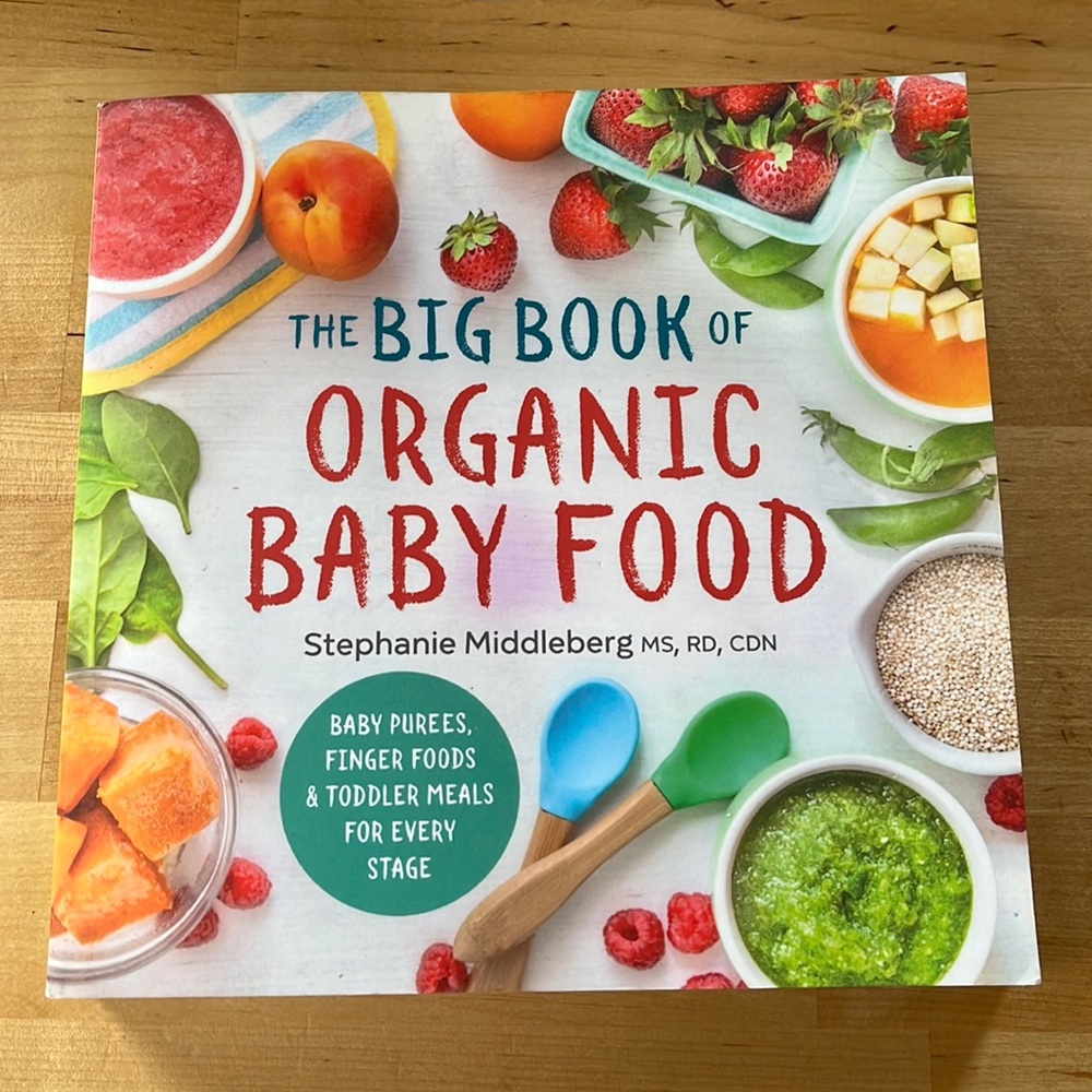 The Big Book of Organic Baby Food